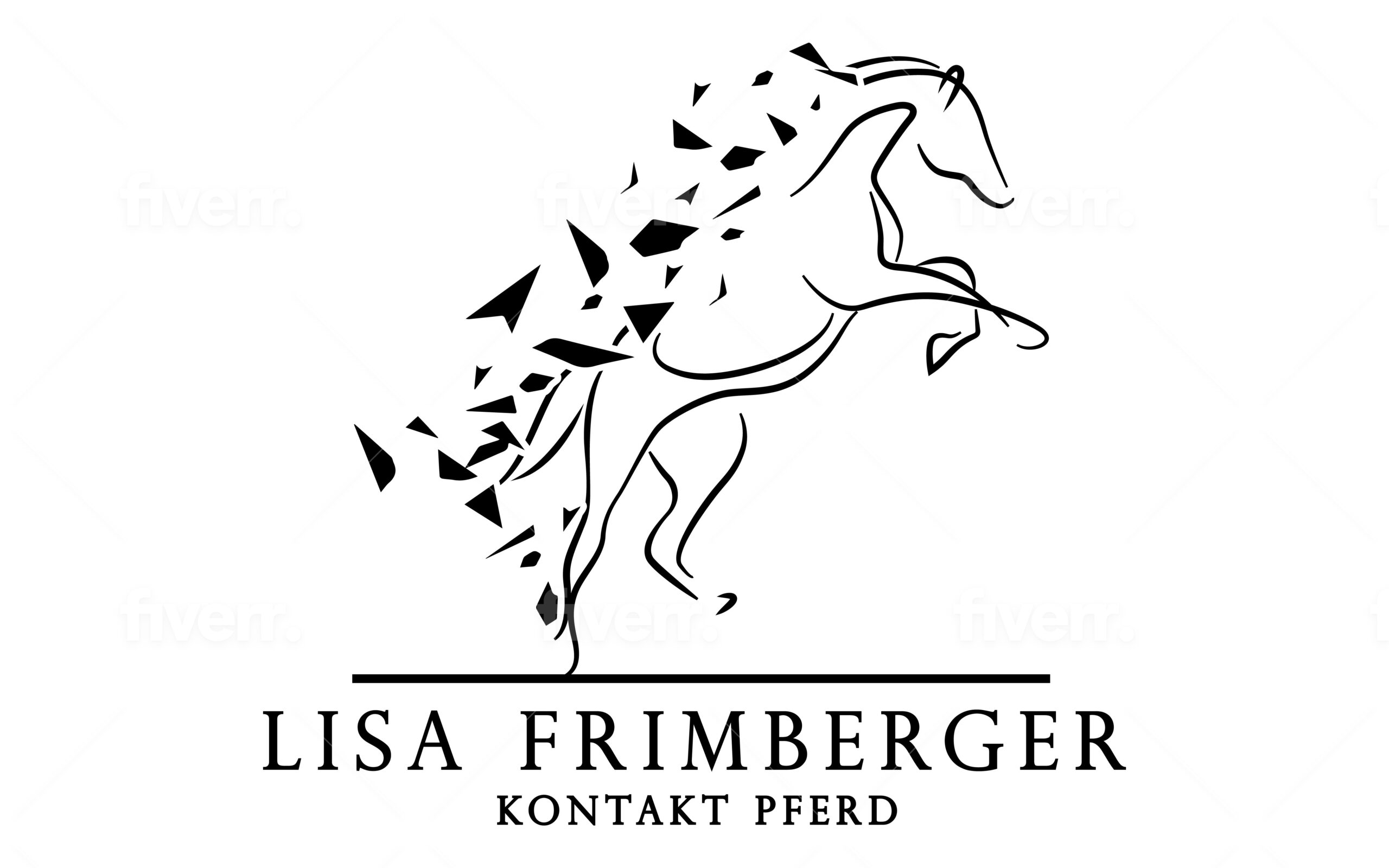 Dein Kontakt zum Pferd